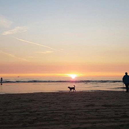 2 Bedroom Pet Friendly Home In Egmond Aan Zee Esterno foto