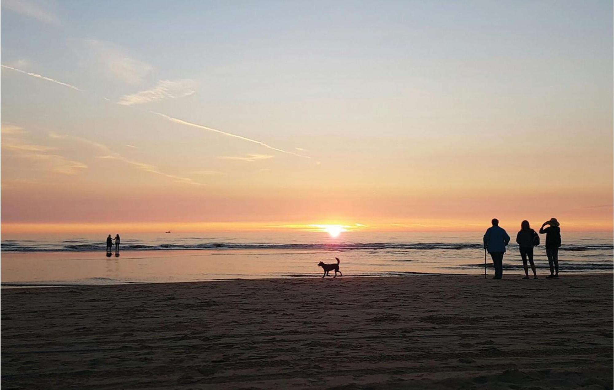 2 Bedroom Pet Friendly Home In Egmond Aan Zee Esterno foto